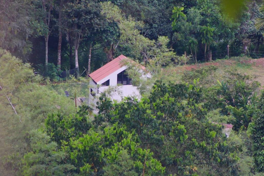 Luxury Glamping - Tiny House al natural