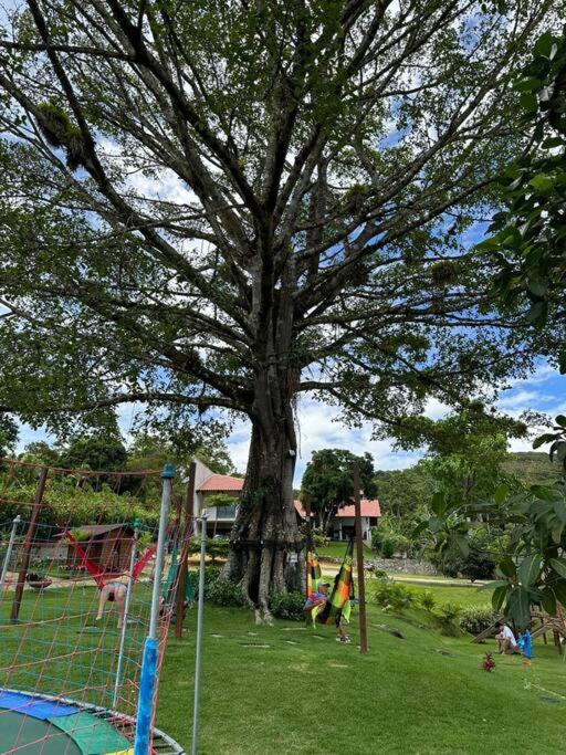 Sítio aconchegante em Mulungu