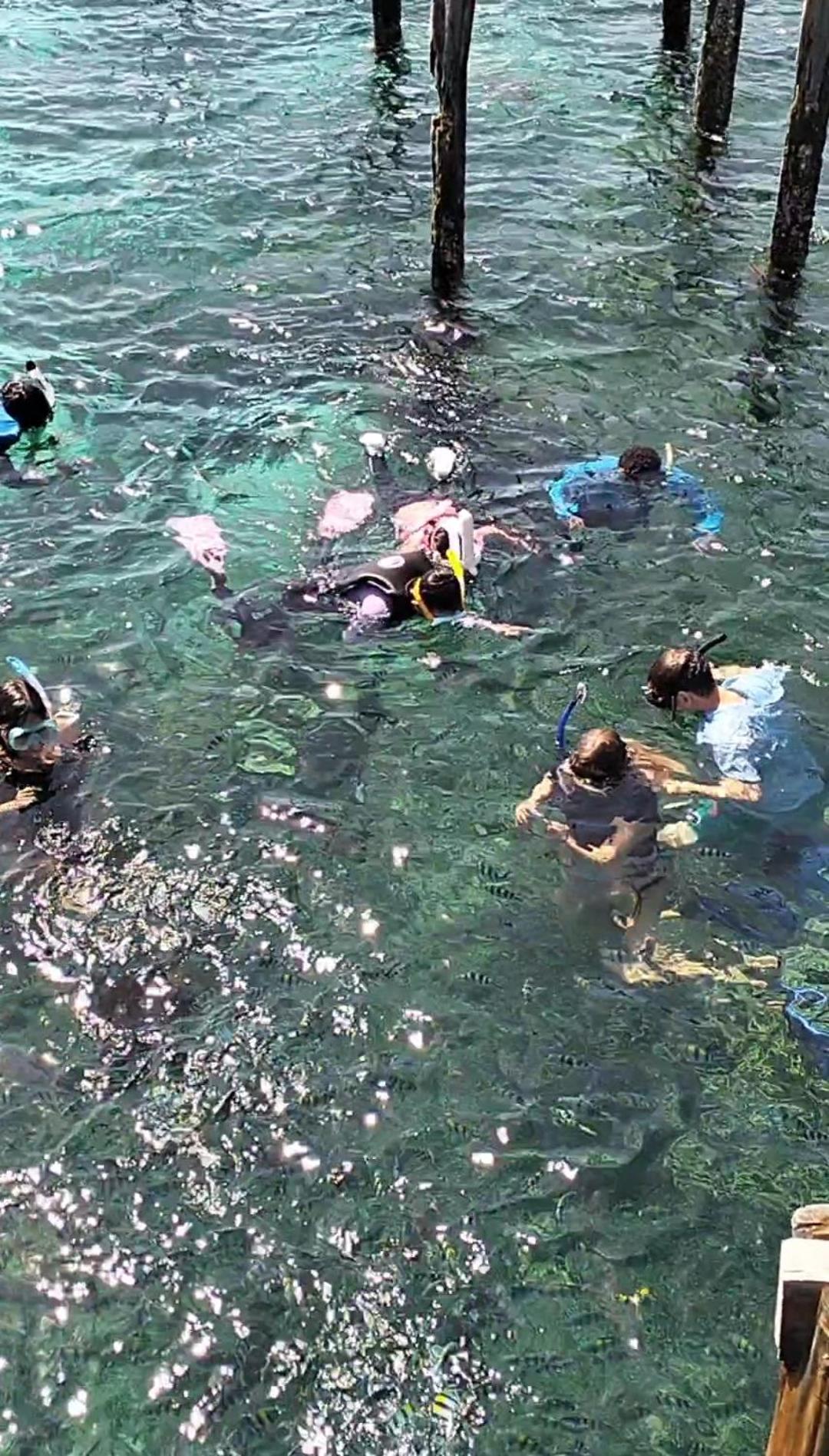 Bruno Raja Ampat Homestay