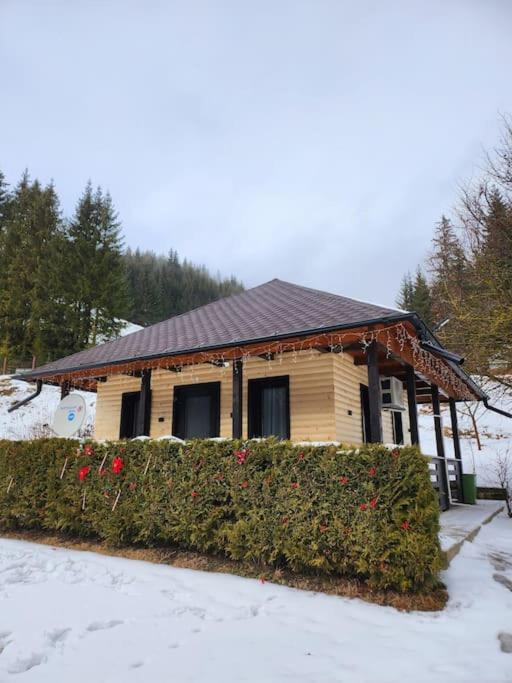 Cozy house Elena view 4