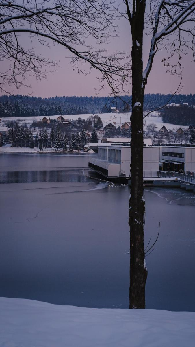 Bosky Apartament view 4