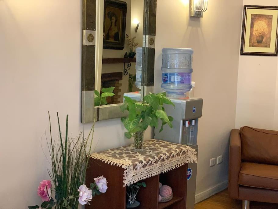 Zamalek Garden villa-at the Nile