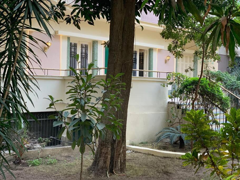 Zamalek Garden villa-at the Nile