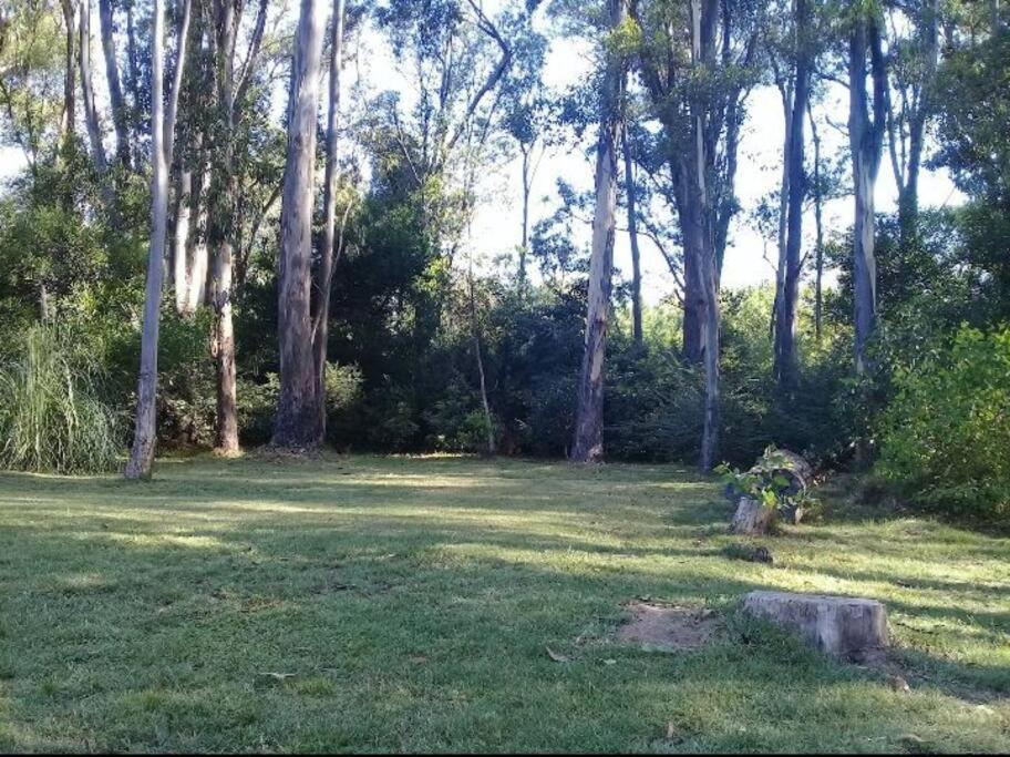 Casa payesa en el bosque, La Barra. view 4