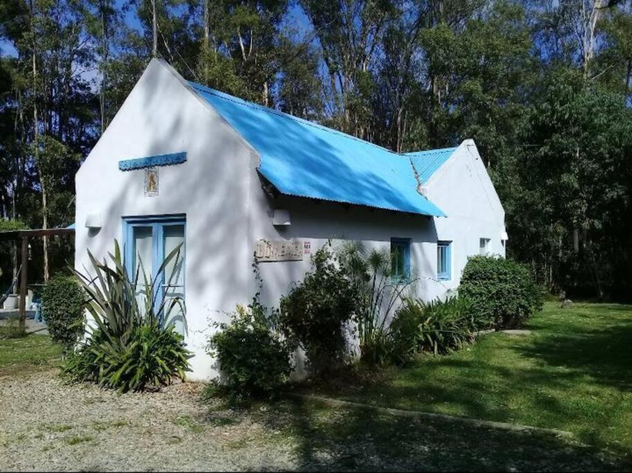 Casa payesa en el bosque, La Barra. view 5