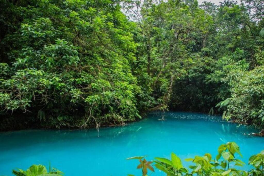 Pocho's Place Rio Celeste