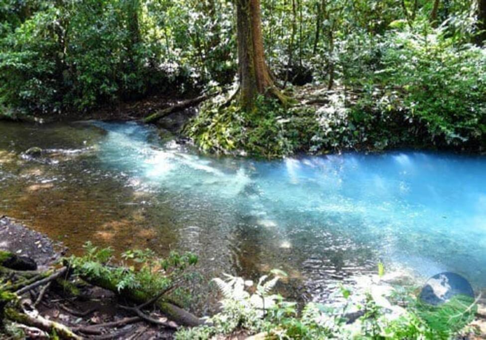 Pocho's Place Rio Celeste