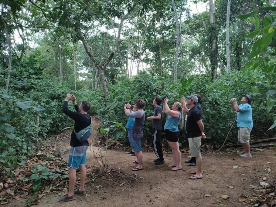 Pocho's Place Rio Celeste