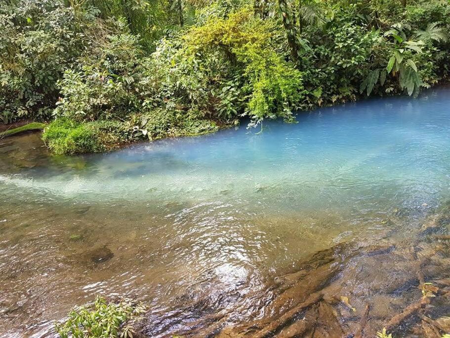 Pocho's Place Rio Celeste