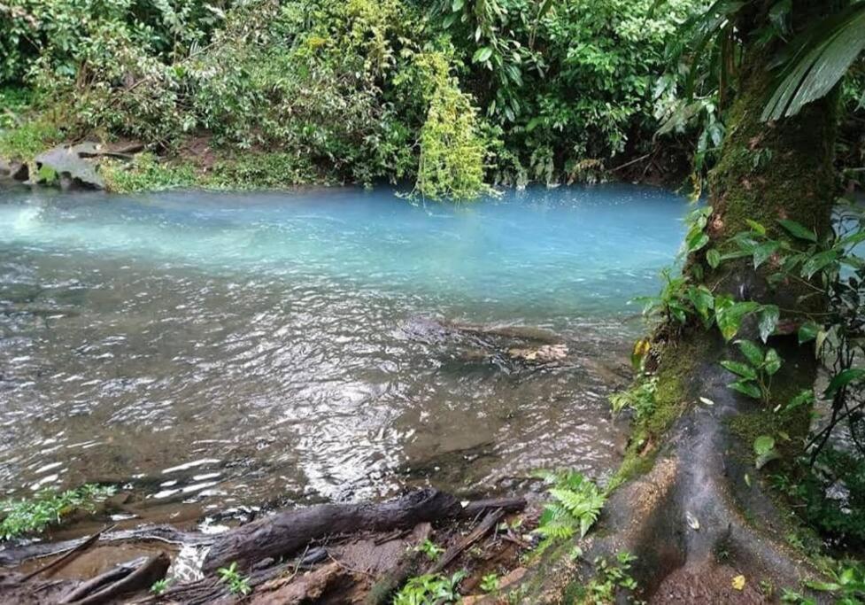 Pocho's Place Rio Celeste
