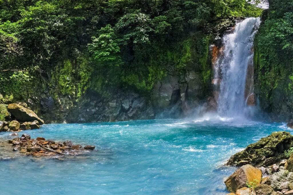Pocho's Place Rio Celeste