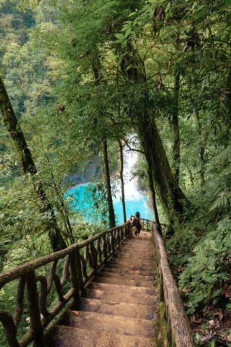 Pocho's Place Rio Celeste