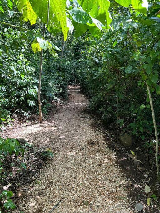 Pocho's Place Rio Celeste