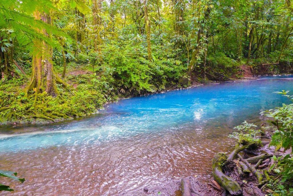 Pocho's Place Rio Celeste