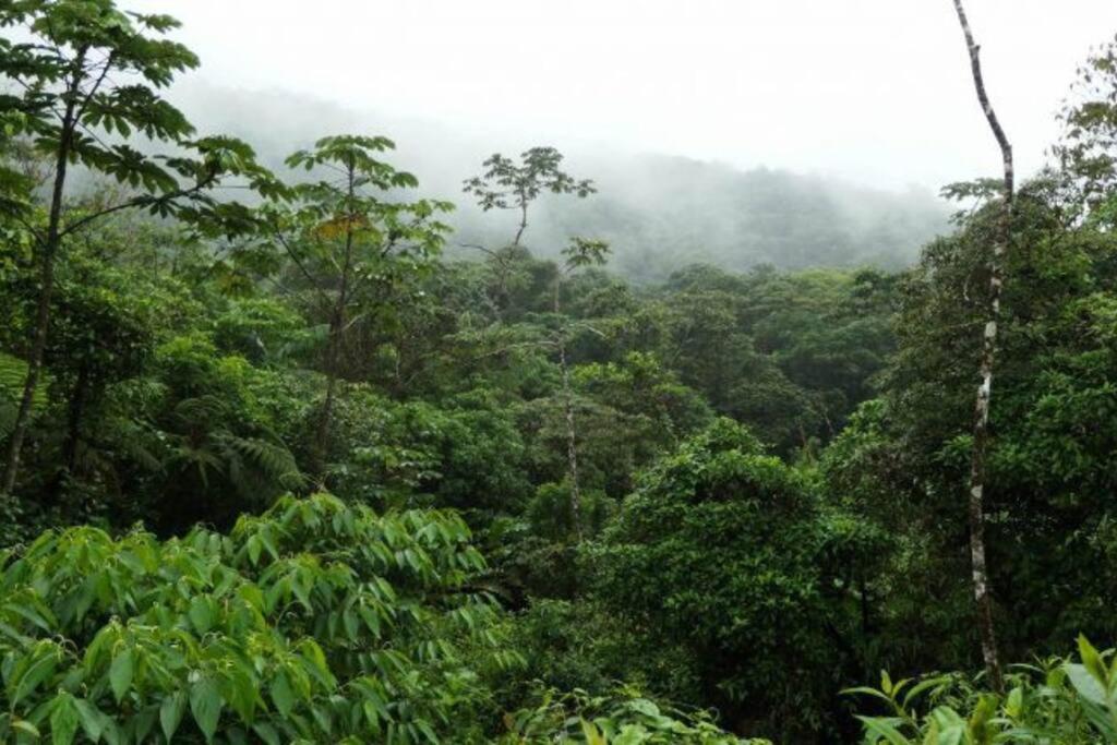 Pocho's Place Rio Celeste