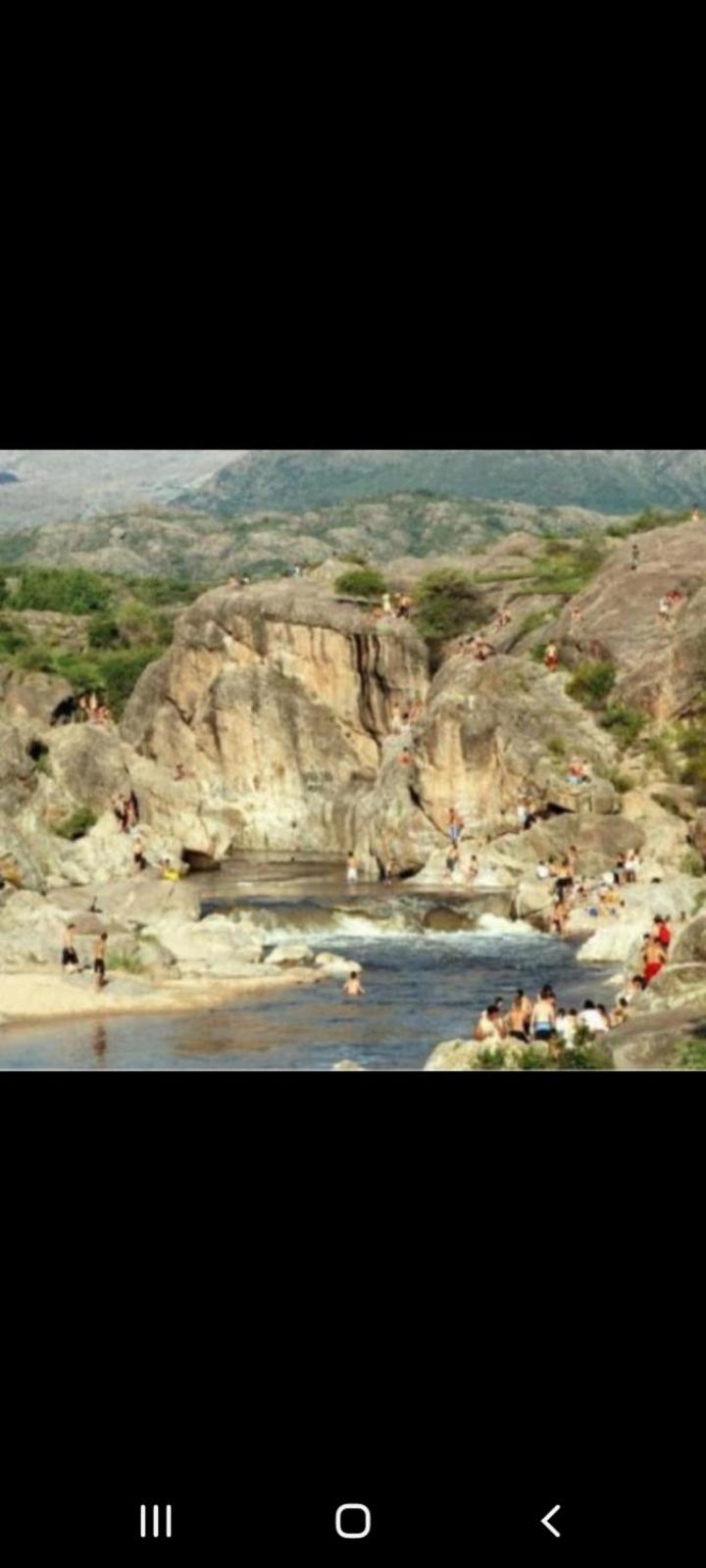 Mis Aromos