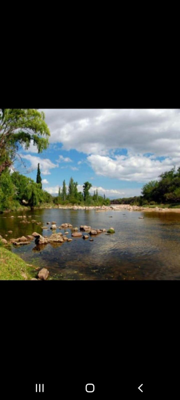 Mis Aromos