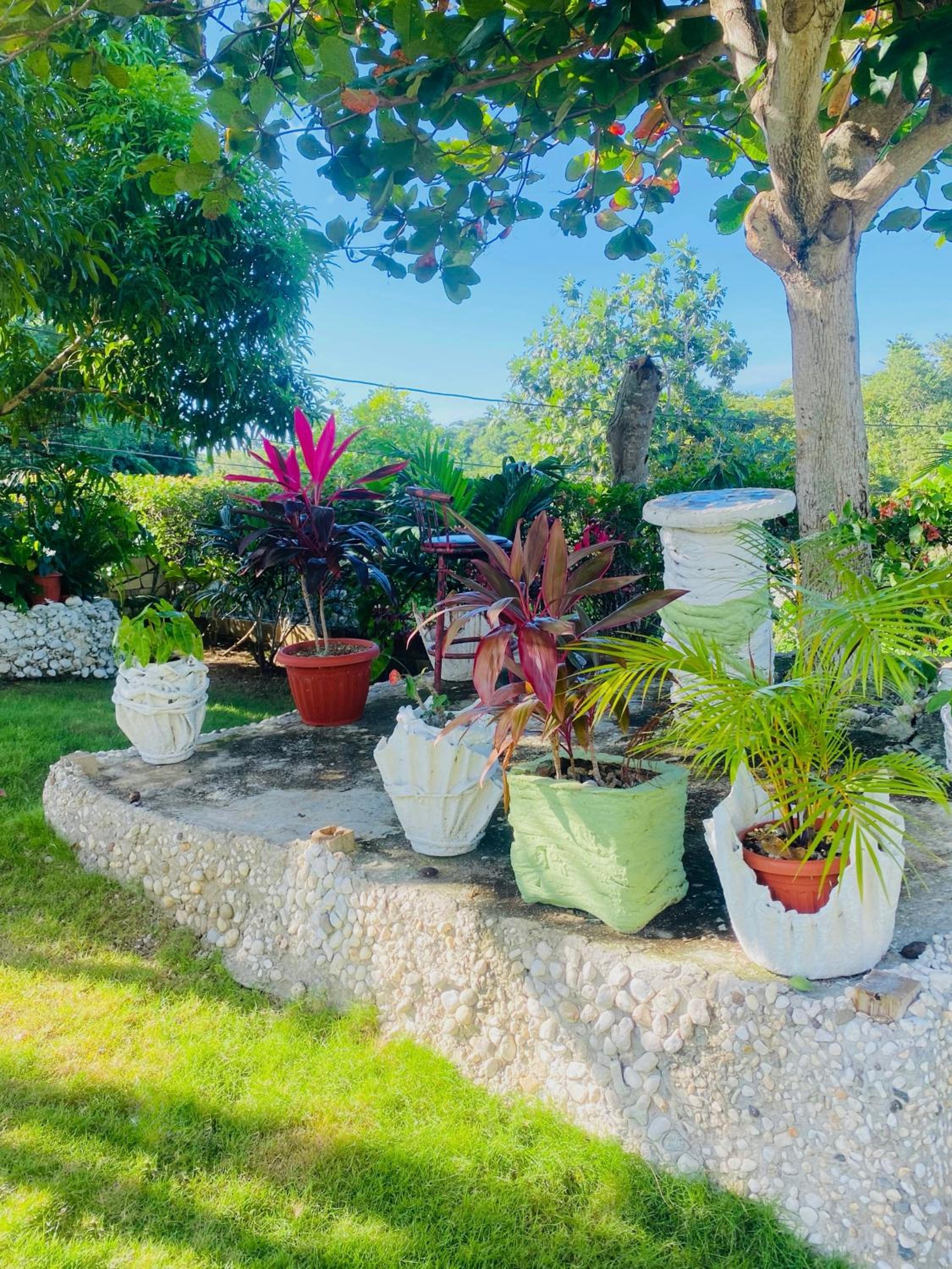 Cindy's Garden Stay