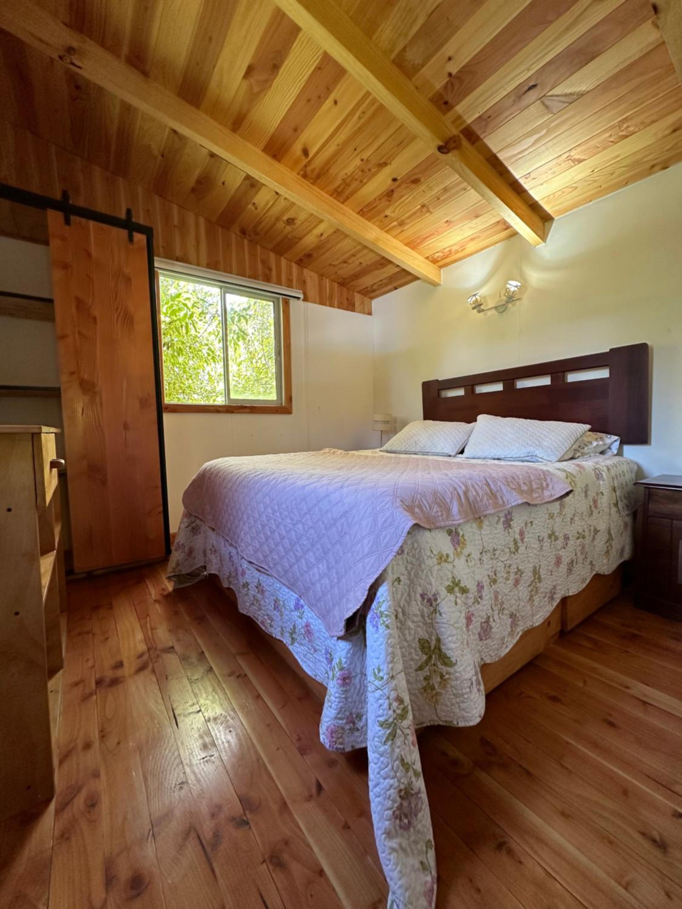 CABAÑAS Mony view 4