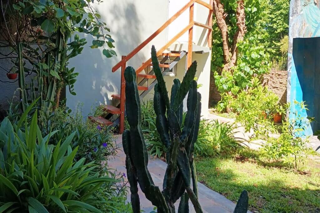 Edén, Los biguáes IV