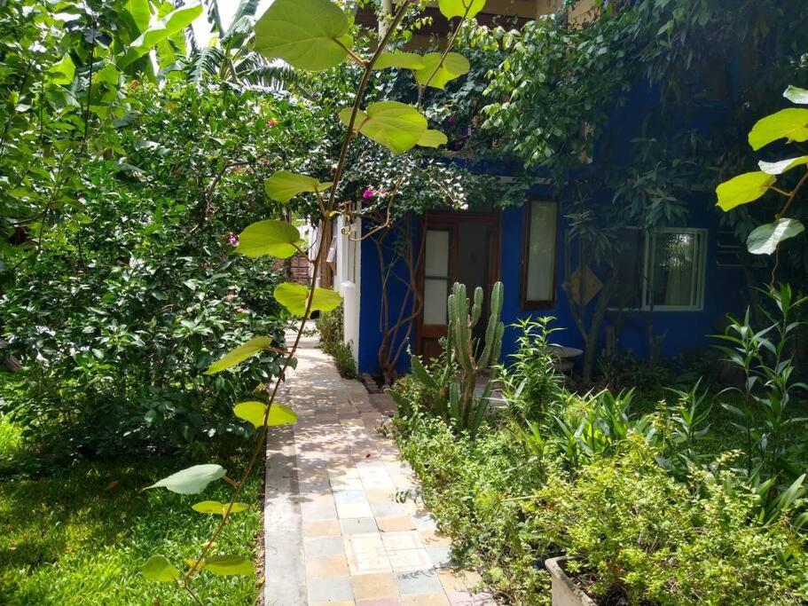 Edén, Los biguáes IV