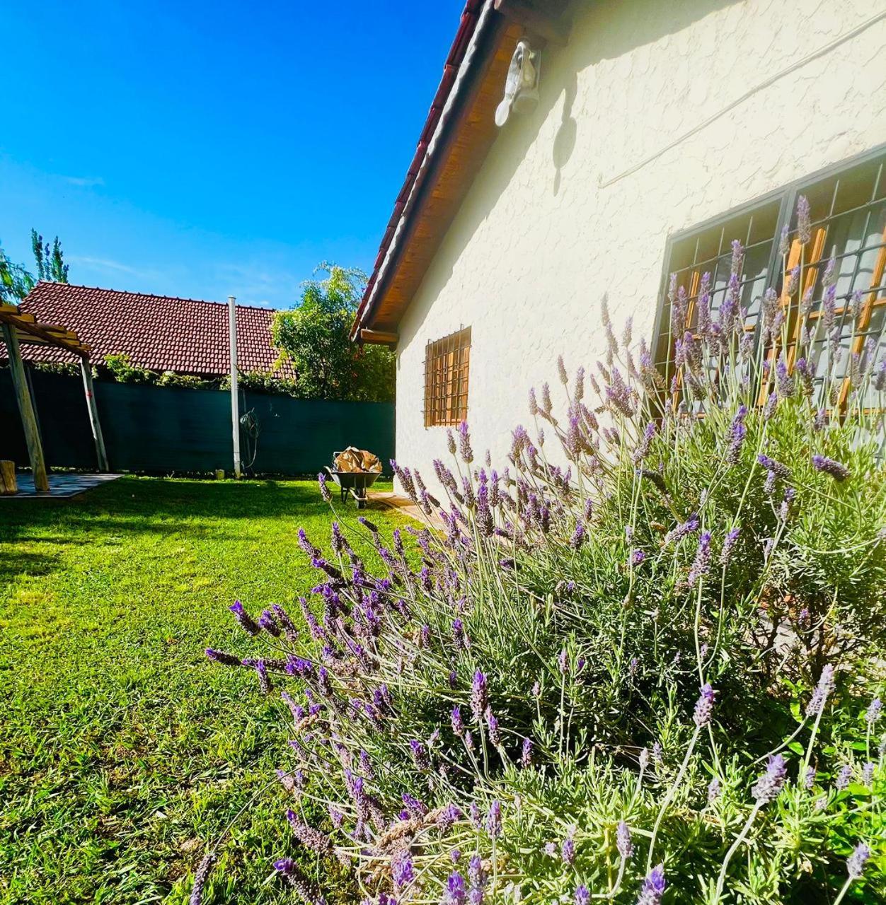 La casa de Luis