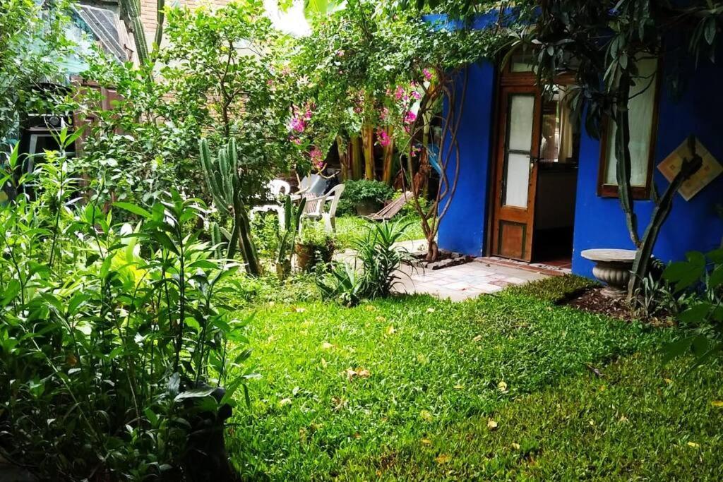 La paloma en Edén I