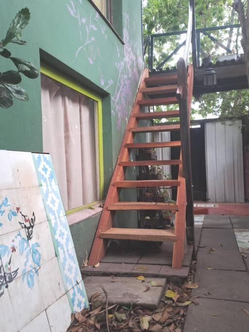 La paloma en Edén I