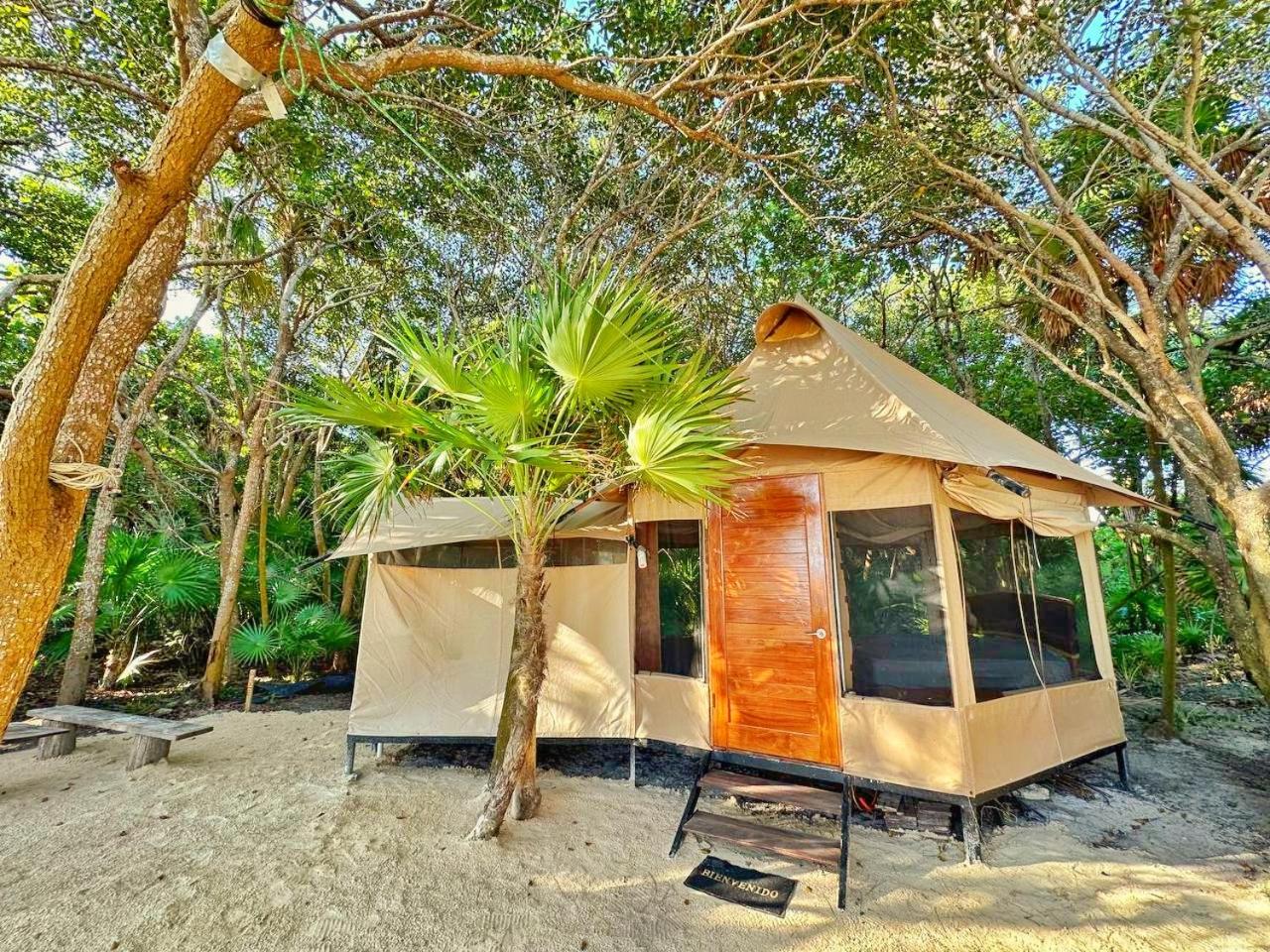Beachfront luxury glamping