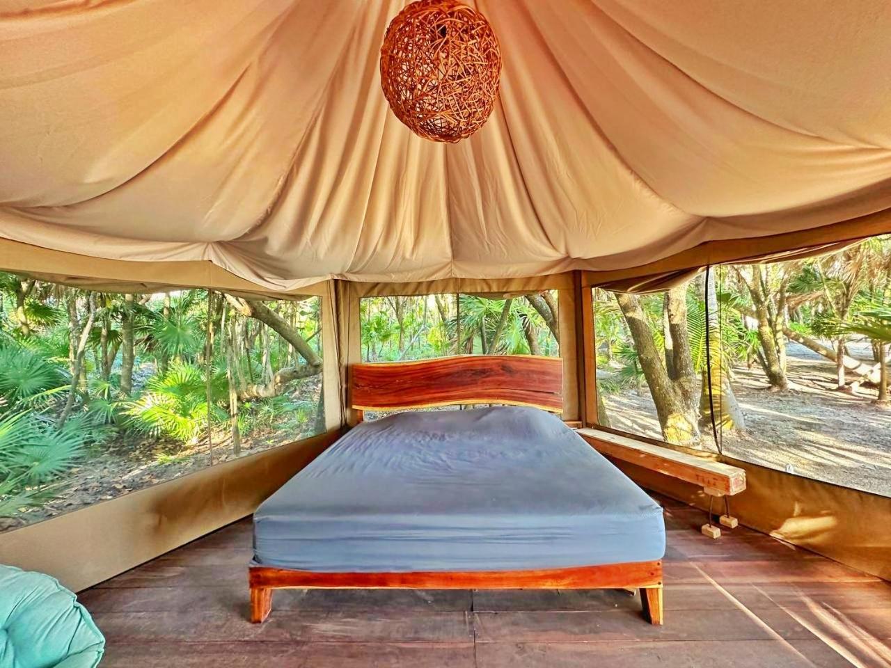 Beachfront luxury glamping