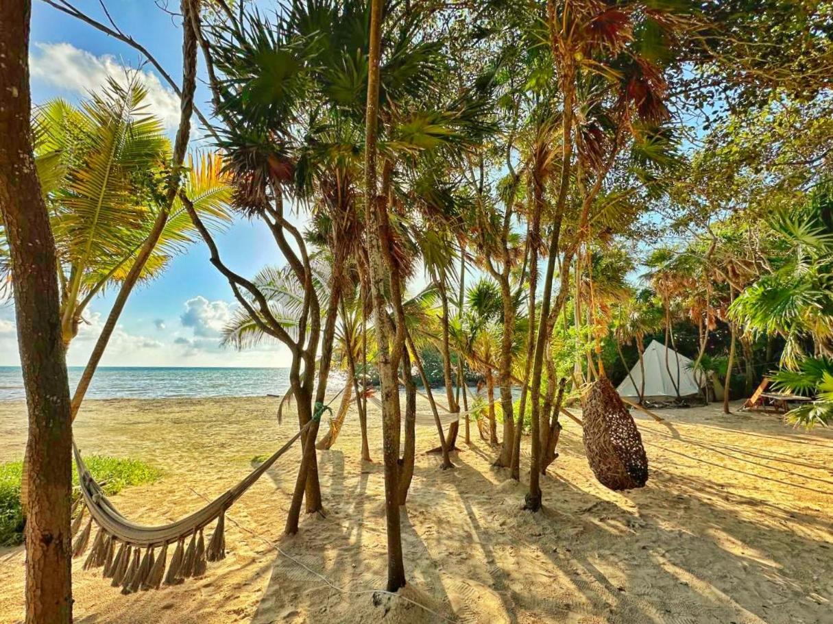 Beachfront luxury glamping