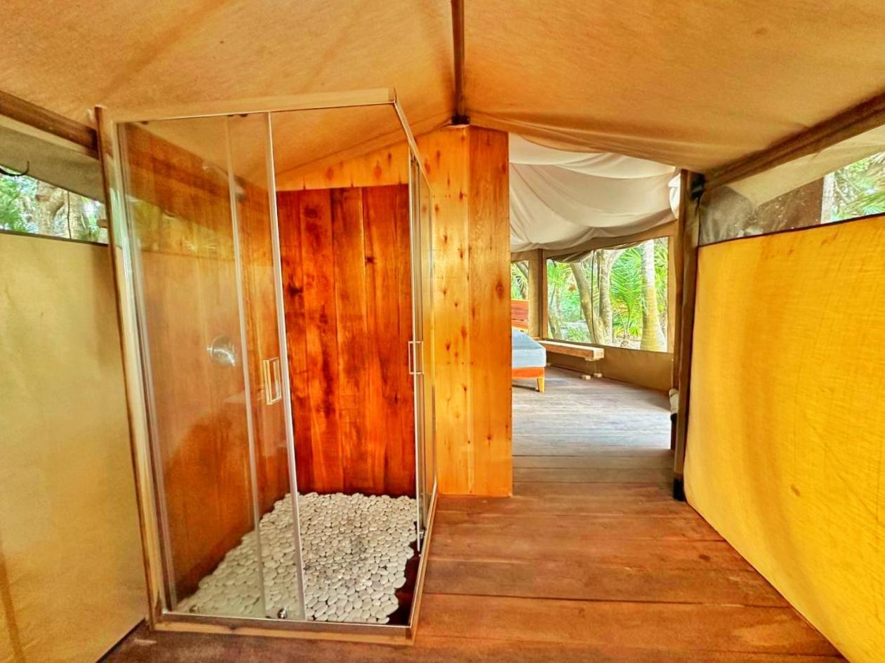 Beachfront luxury glamping