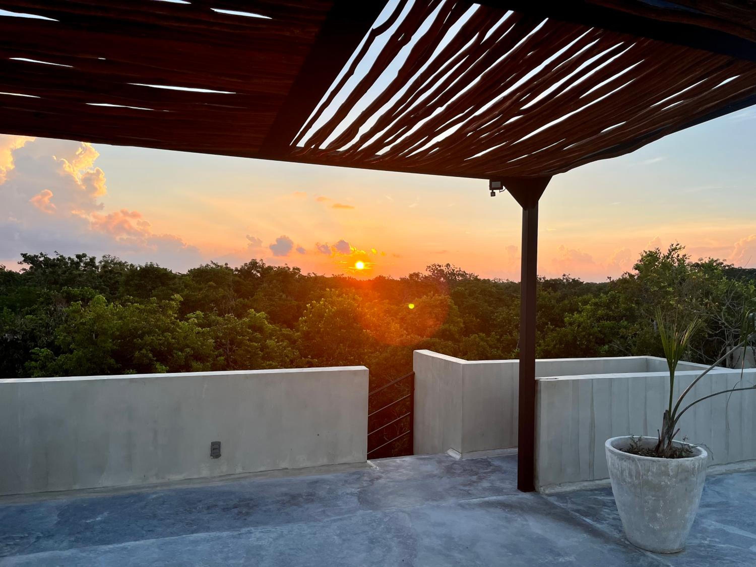 Jungle Gem with Swim-Up Pool & Easy Paved Access view 4