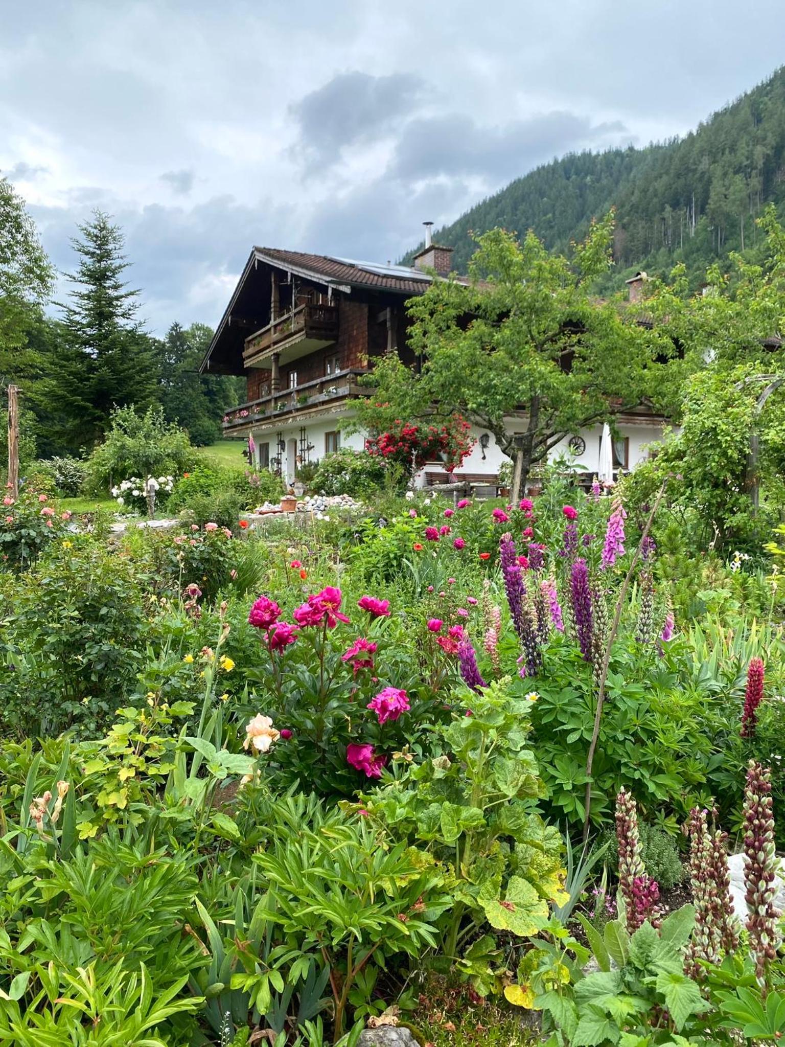 Bergromantik Apartments Fritzenlehen