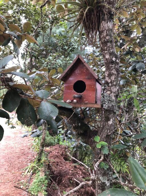 Cabaña Bolonchón Escapada en la Naturaleza