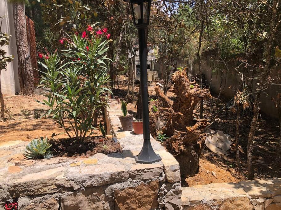 Photo 18