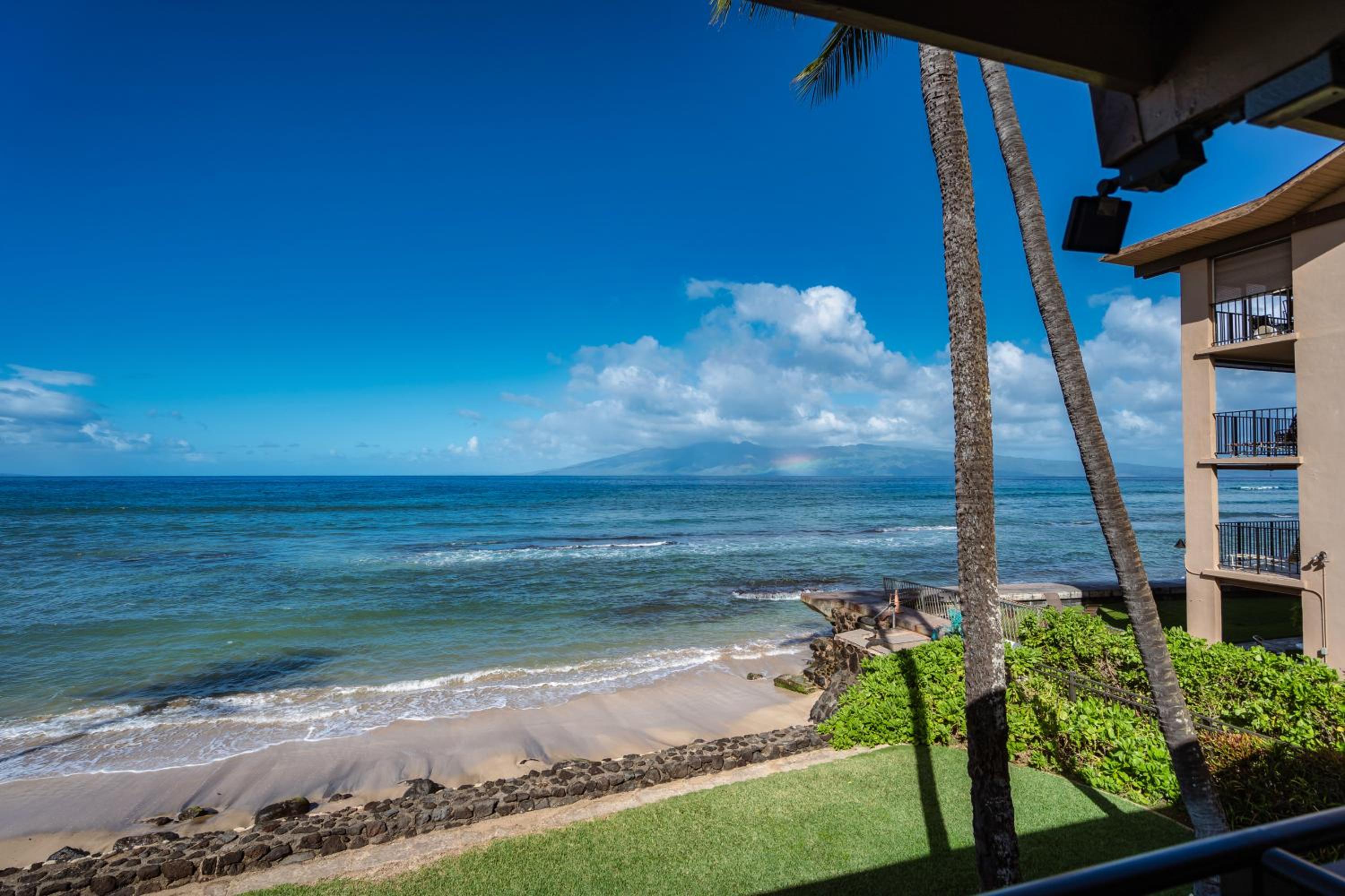 B5 Pikake view 5