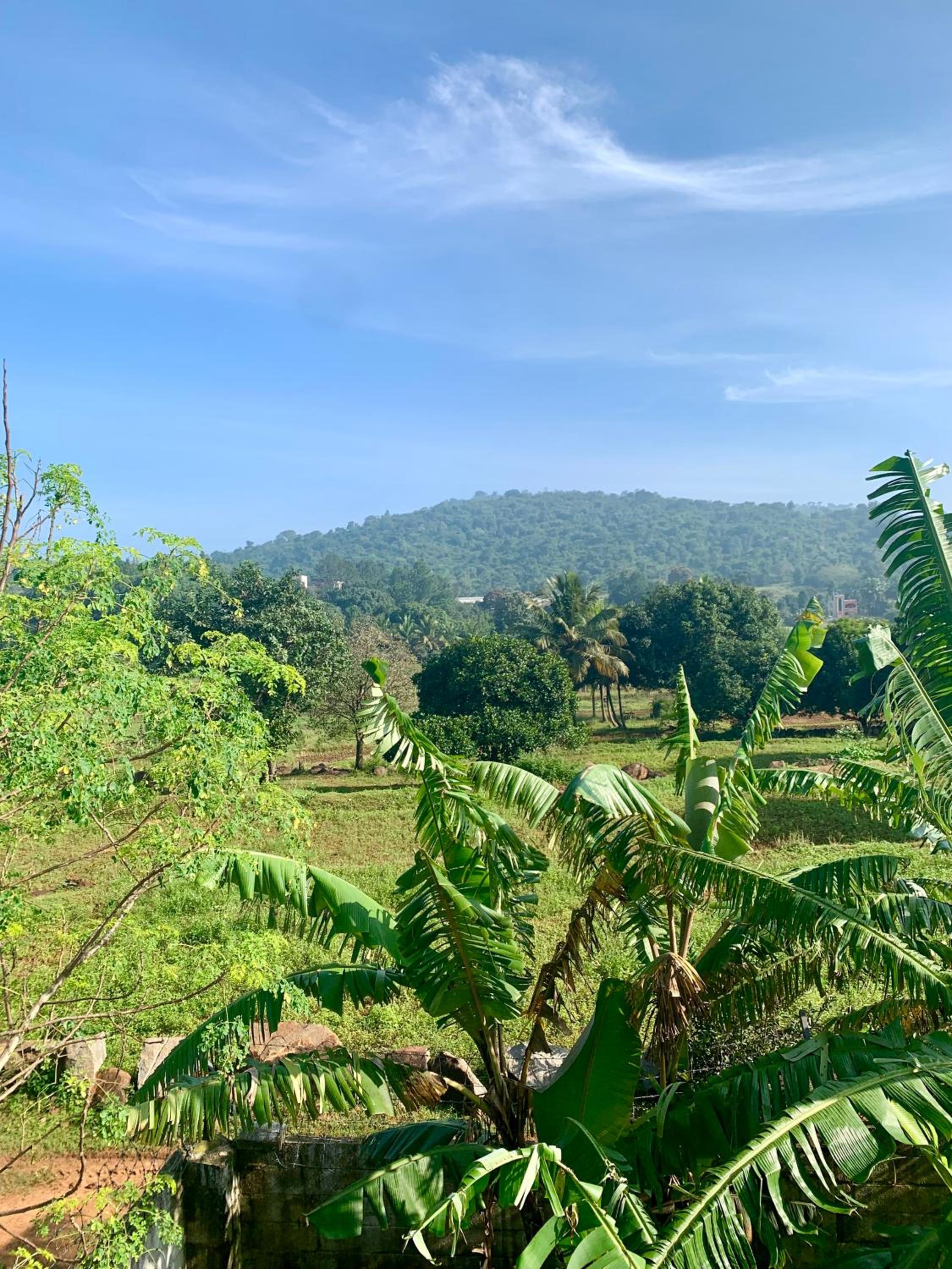 Raj Cliff Top Villa view 2