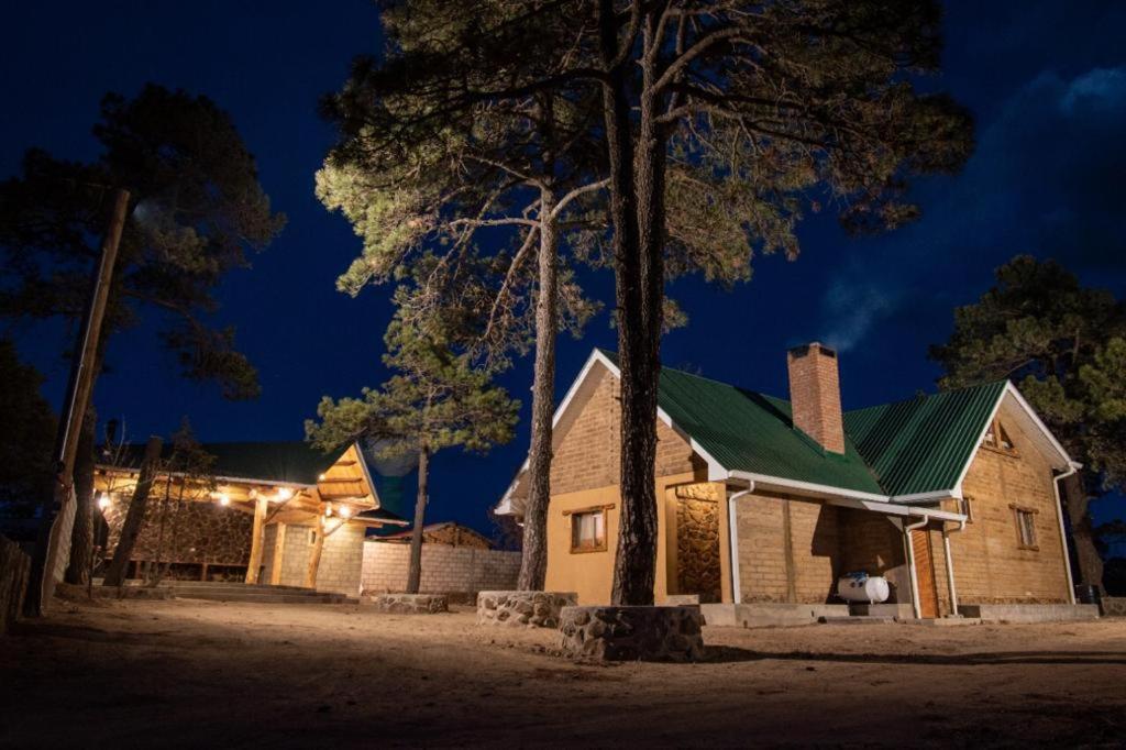 Mountain View Resort