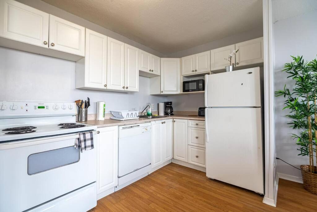 Spacious Downtown Apt #9A, Amazing View