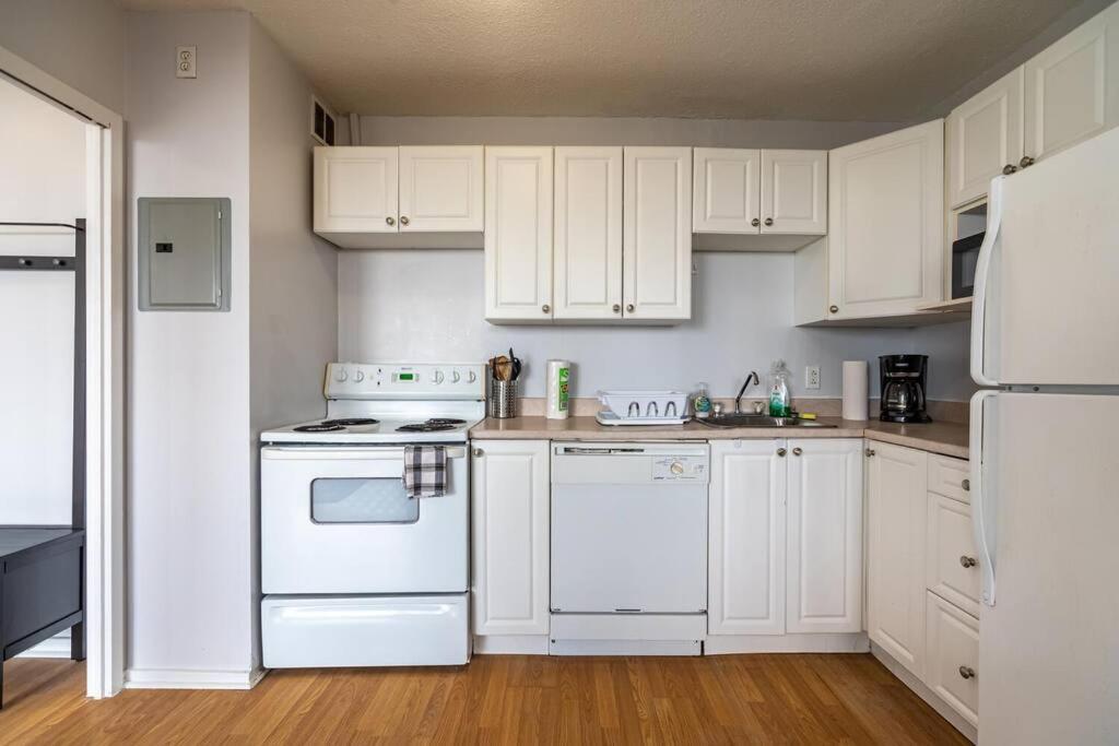 Spacious Downtown Apt #9A, Amazing View