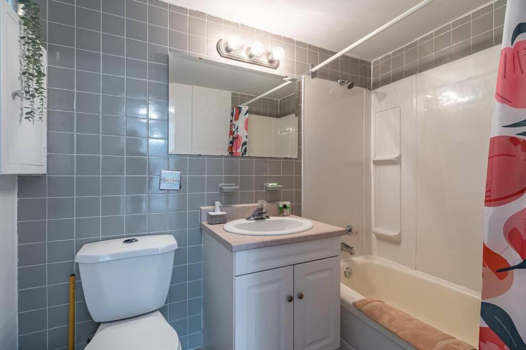 Spacious Downtown Apt #9A, Amazing View