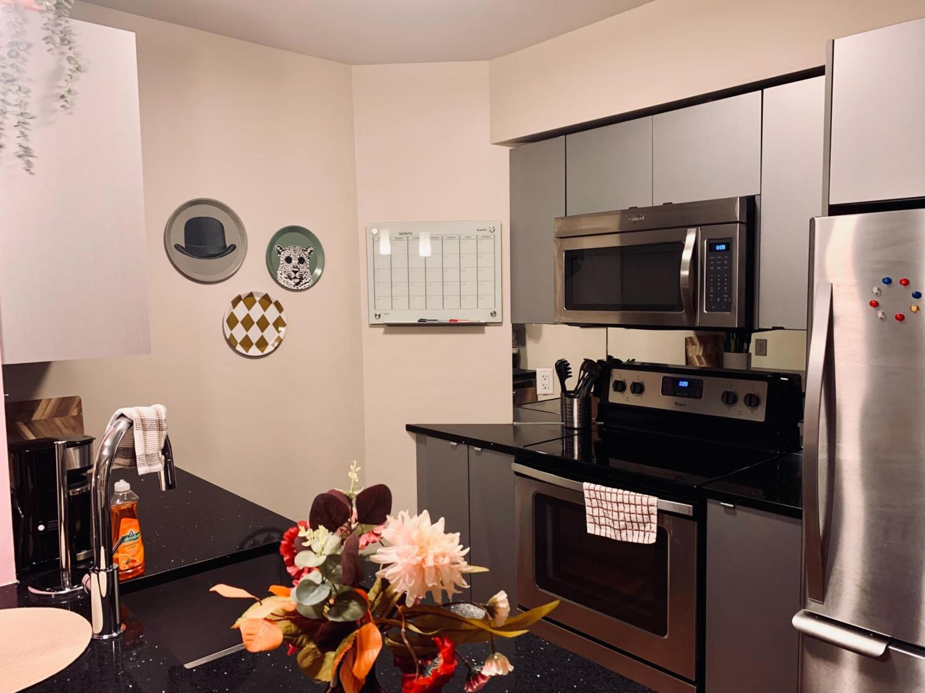 Tasteful Apt #108, Shared Rooftop Area