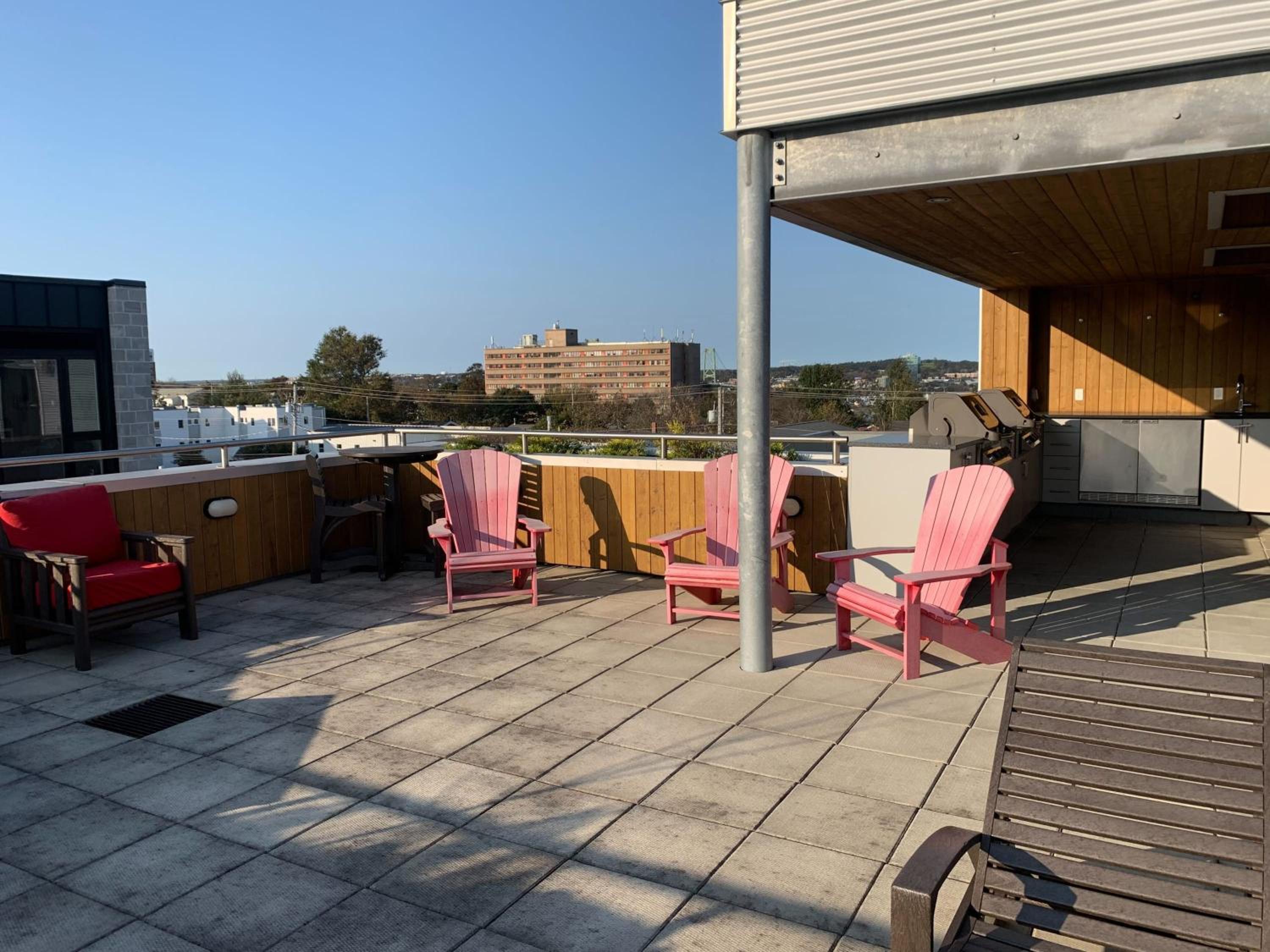 Tasteful Apt #108, Shared Rooftop Area