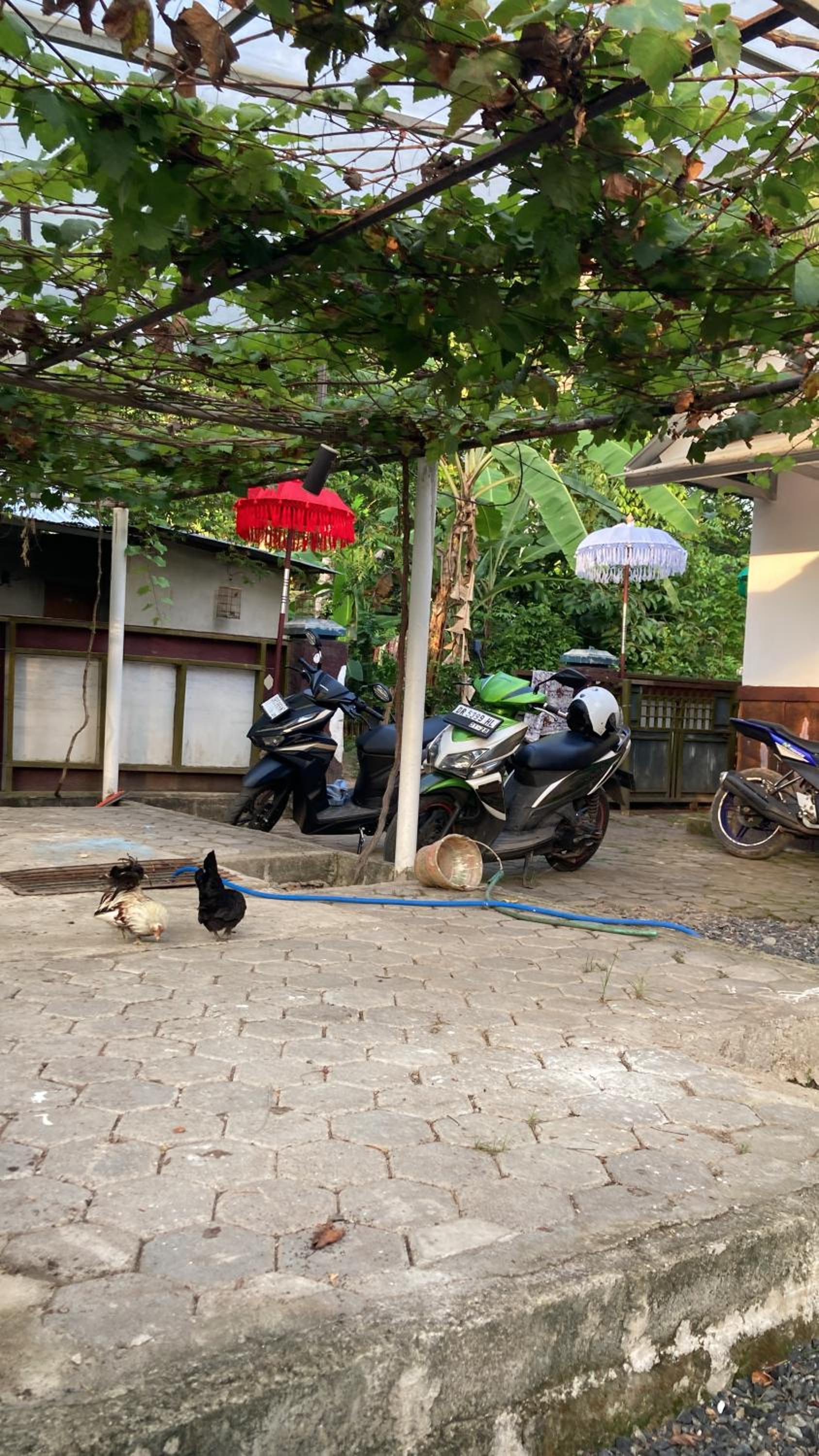Aryana Guest House