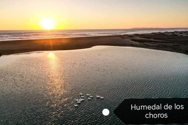 Cabañas el llano punta de choros