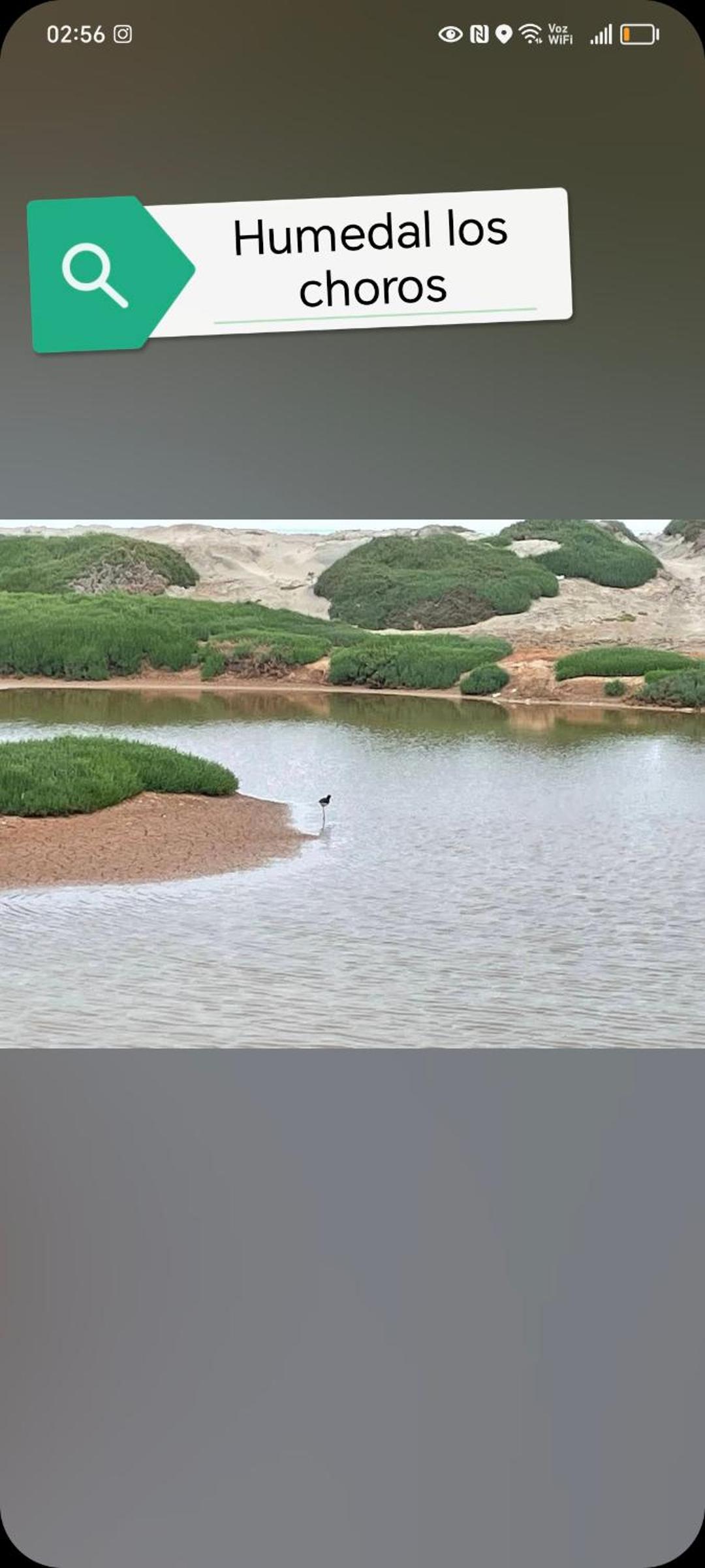 Cabañas el llano punta de choros