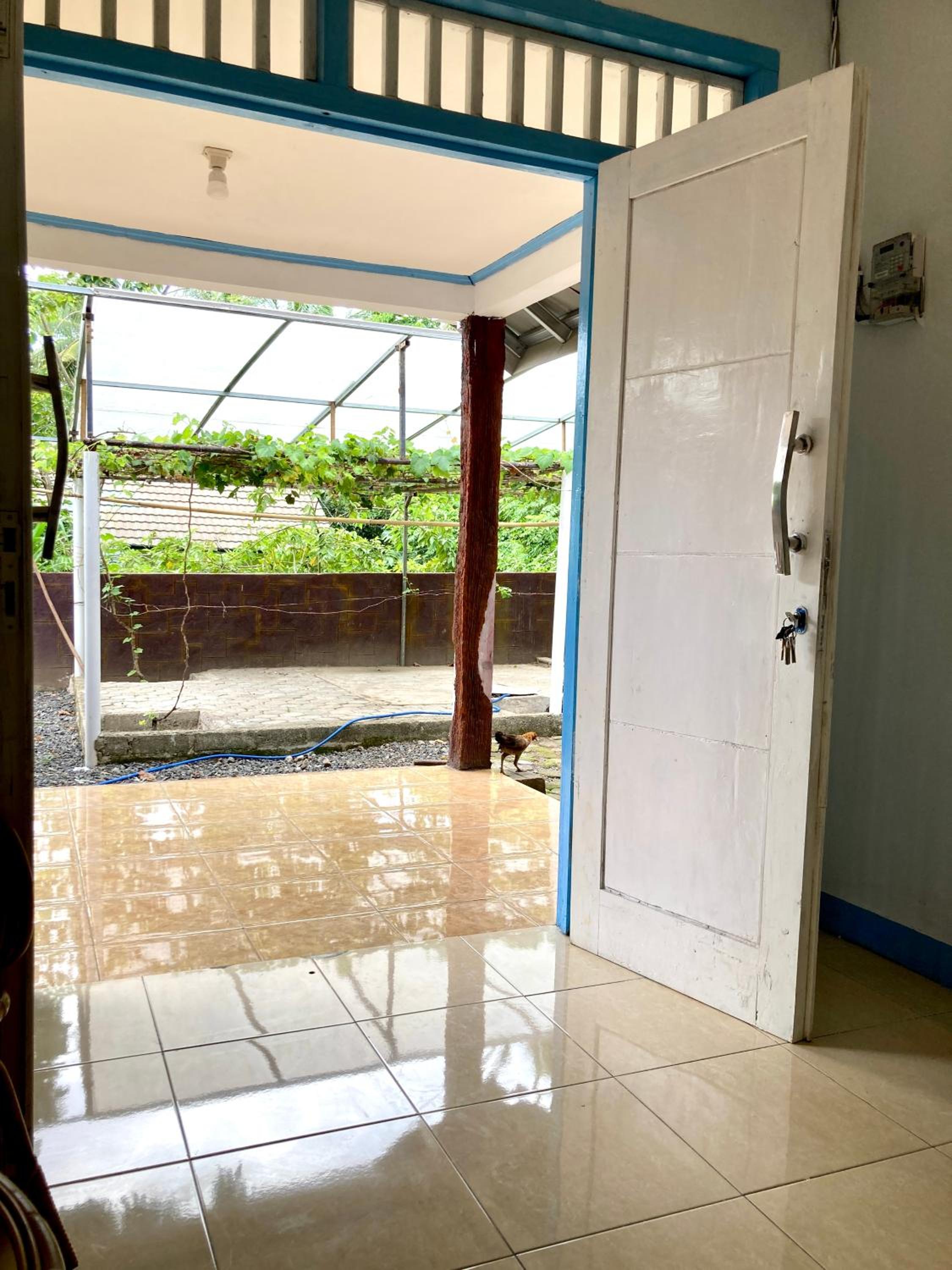 Aryana Guest House