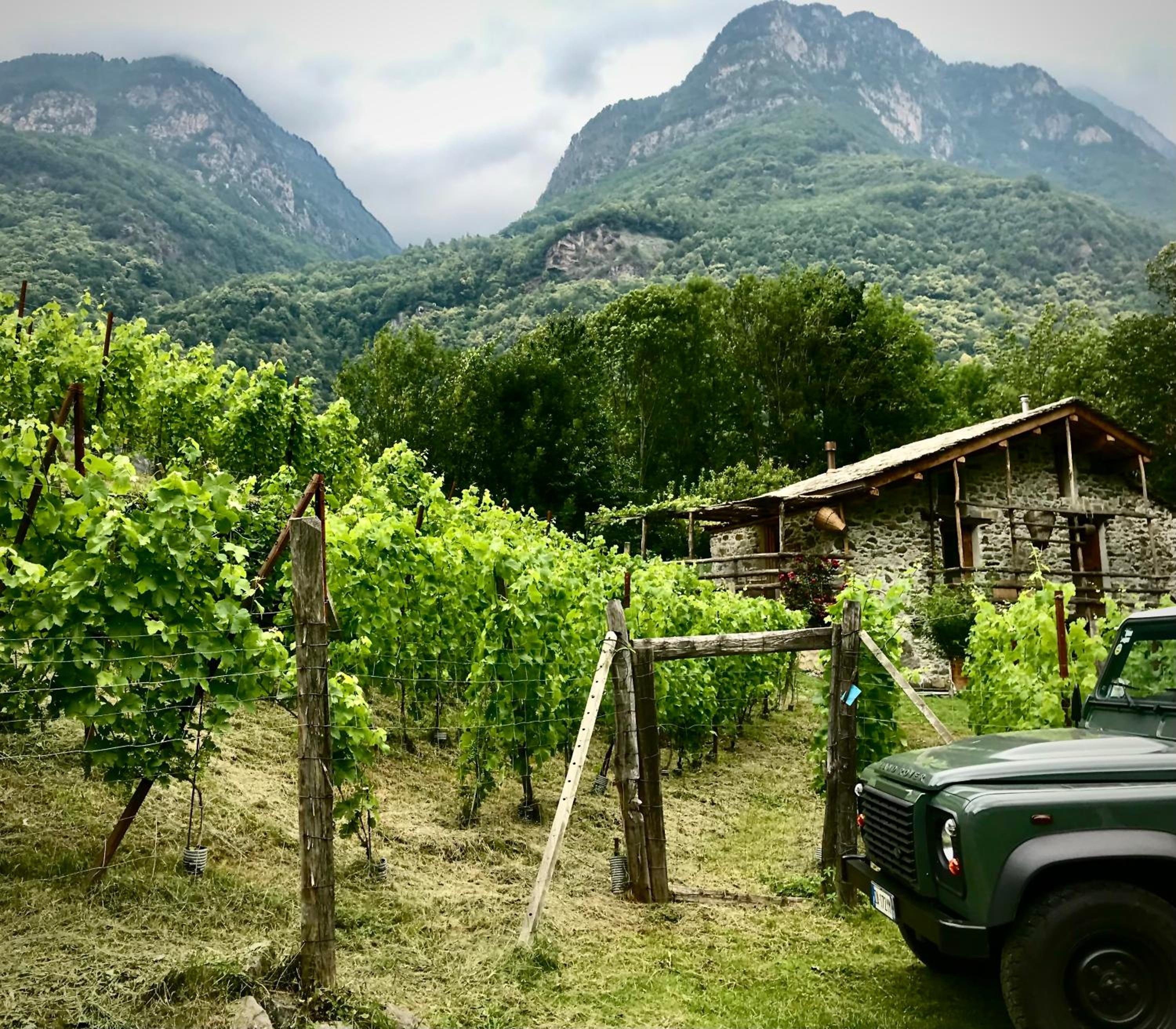 Agriturismo TorreScilano