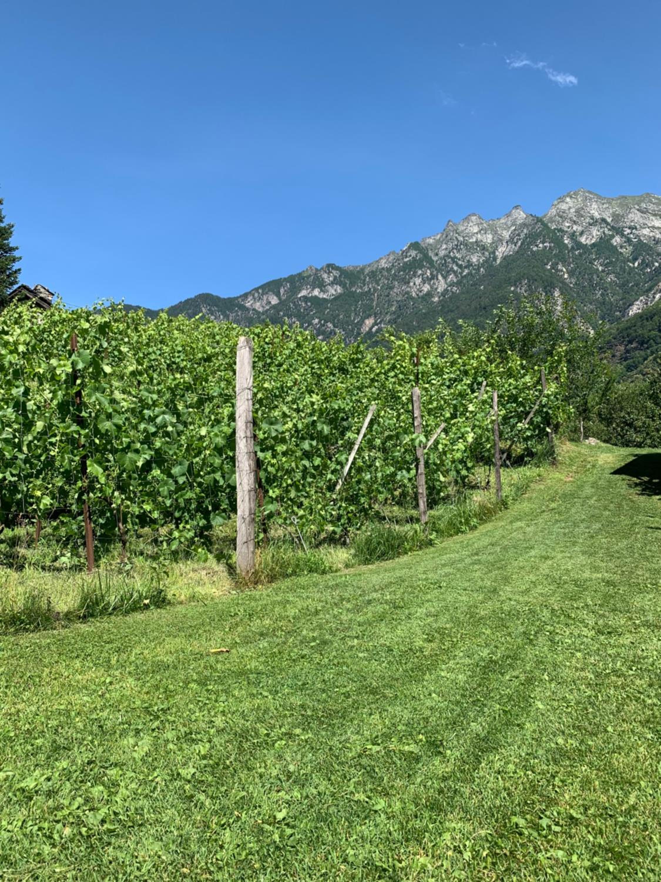 Agriturismo TorreScilano